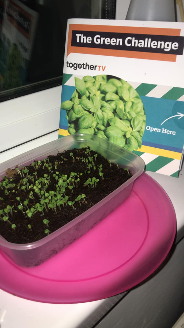 Alfie S - Week 1 complete