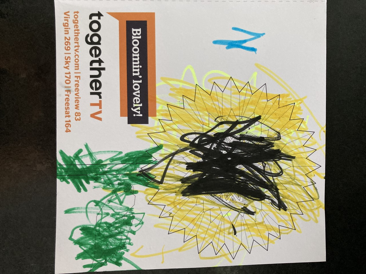 Dannielle R - Here is a photo of the sunflower from the pack that my son Harry (age 3)