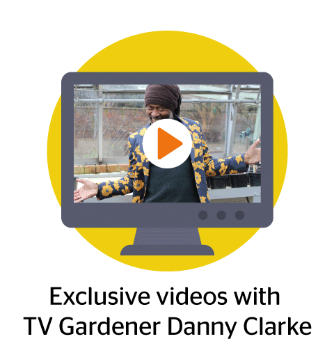 The sunflower challenge includes exclusive videos with TV gardener Danny Clarke