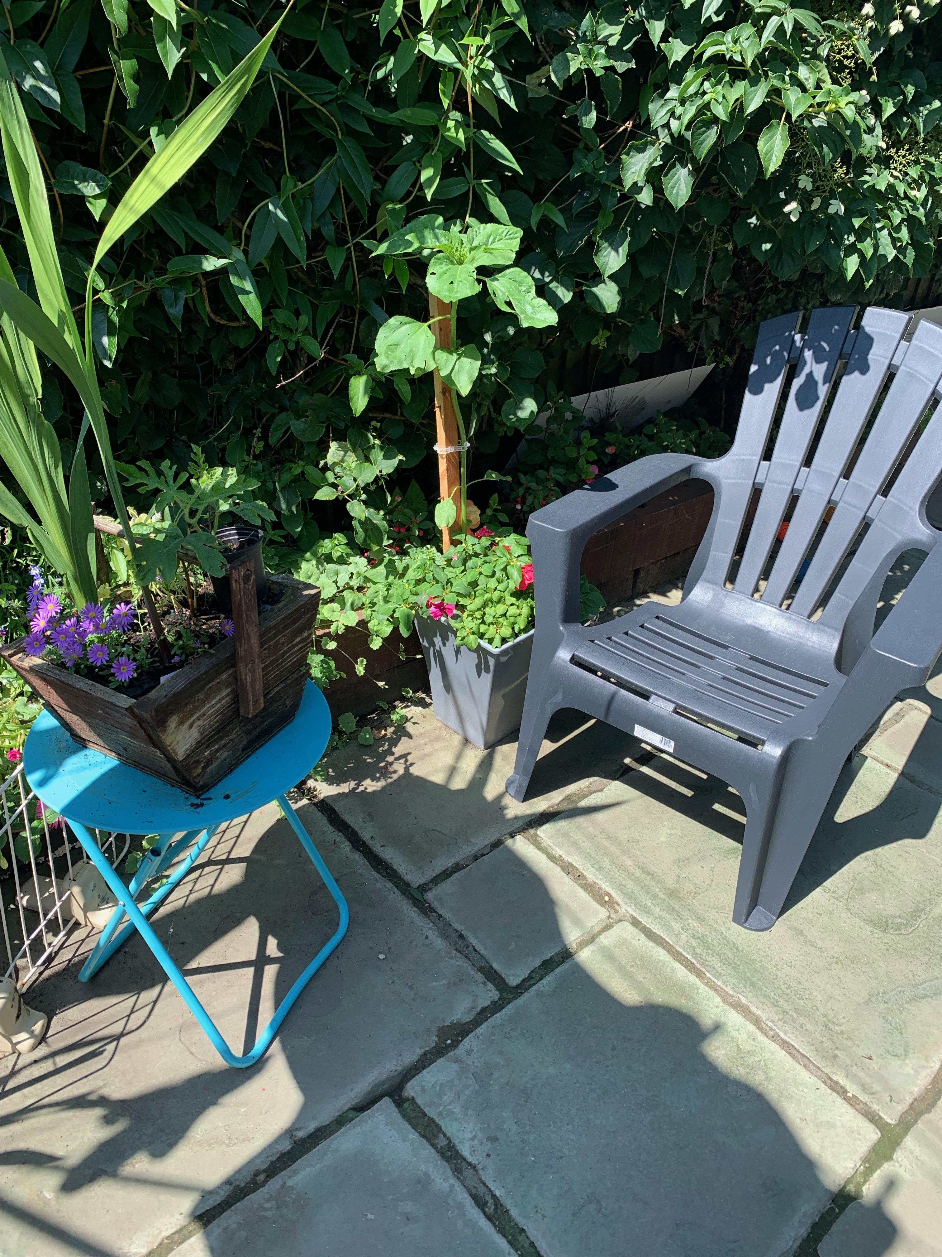 Geraint O - Sunflower selfie