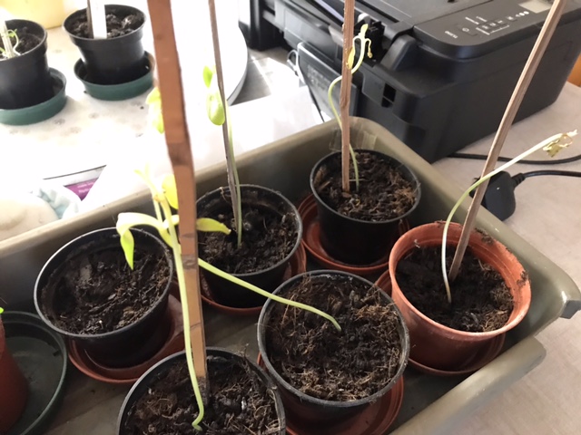 Derek W - Not doing to well