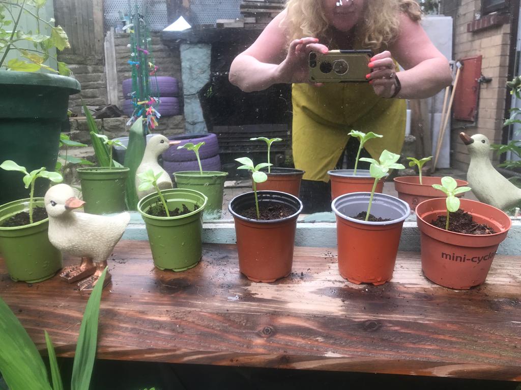 Geraint O - Sunflower selfie