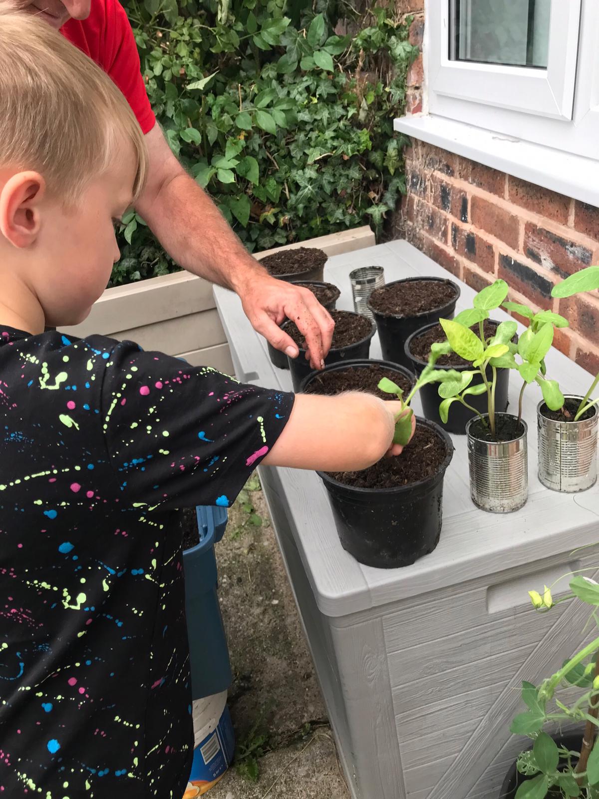 Geraint O - Sunflower selfie