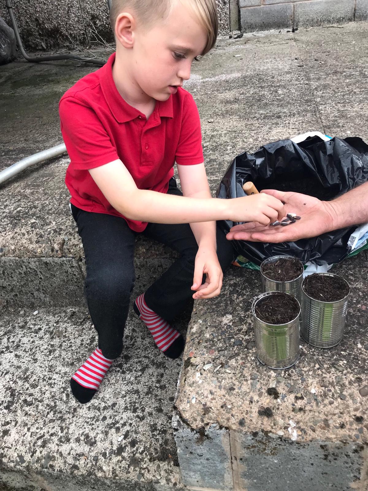 Mally G - My seedlings