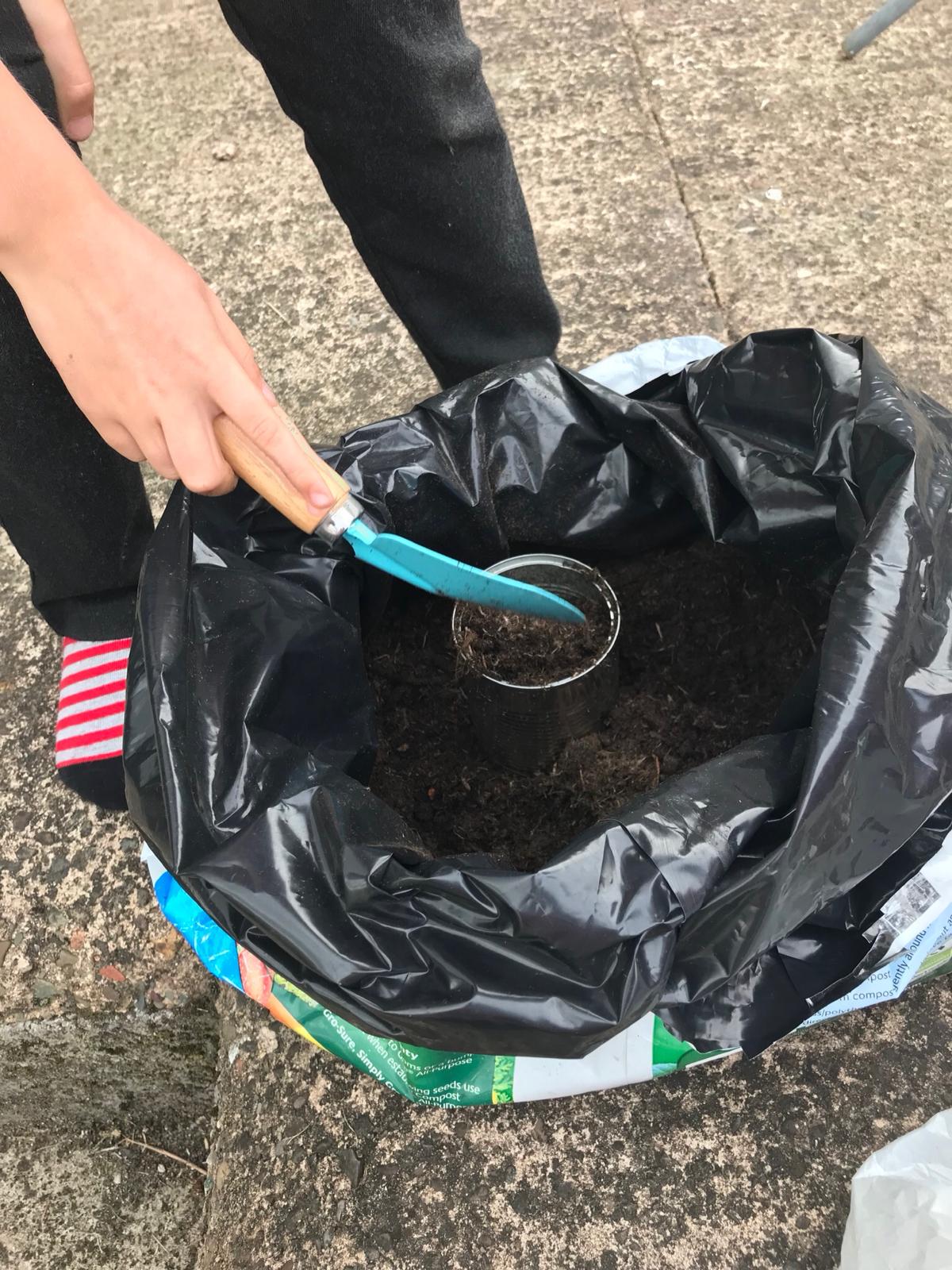 Mally G - My seedlings