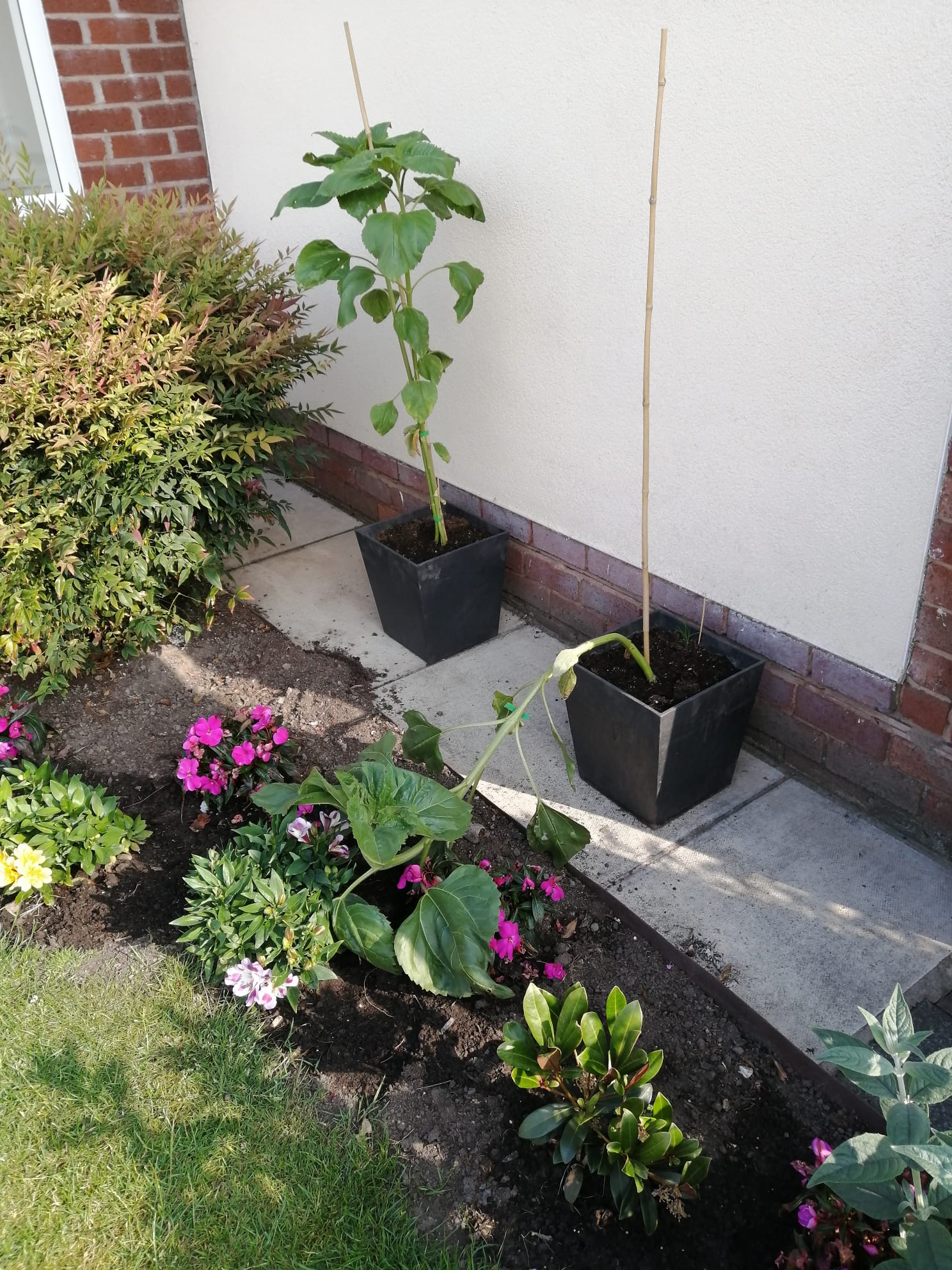 John Jones - Sometimes things just happen! But that's life