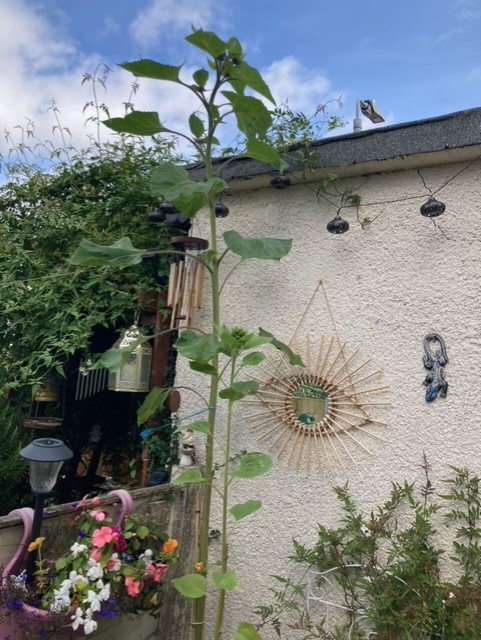 Karen B - some photos from Colwyn Bay North Wales