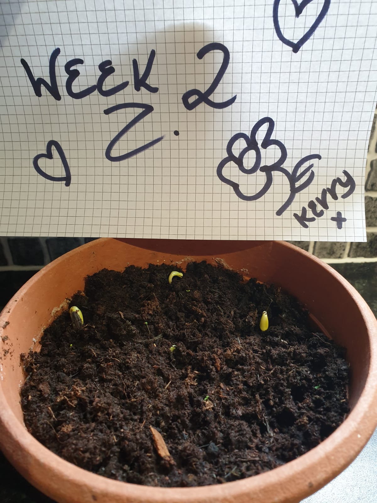 Kerry J - Growing lovely in Gosport