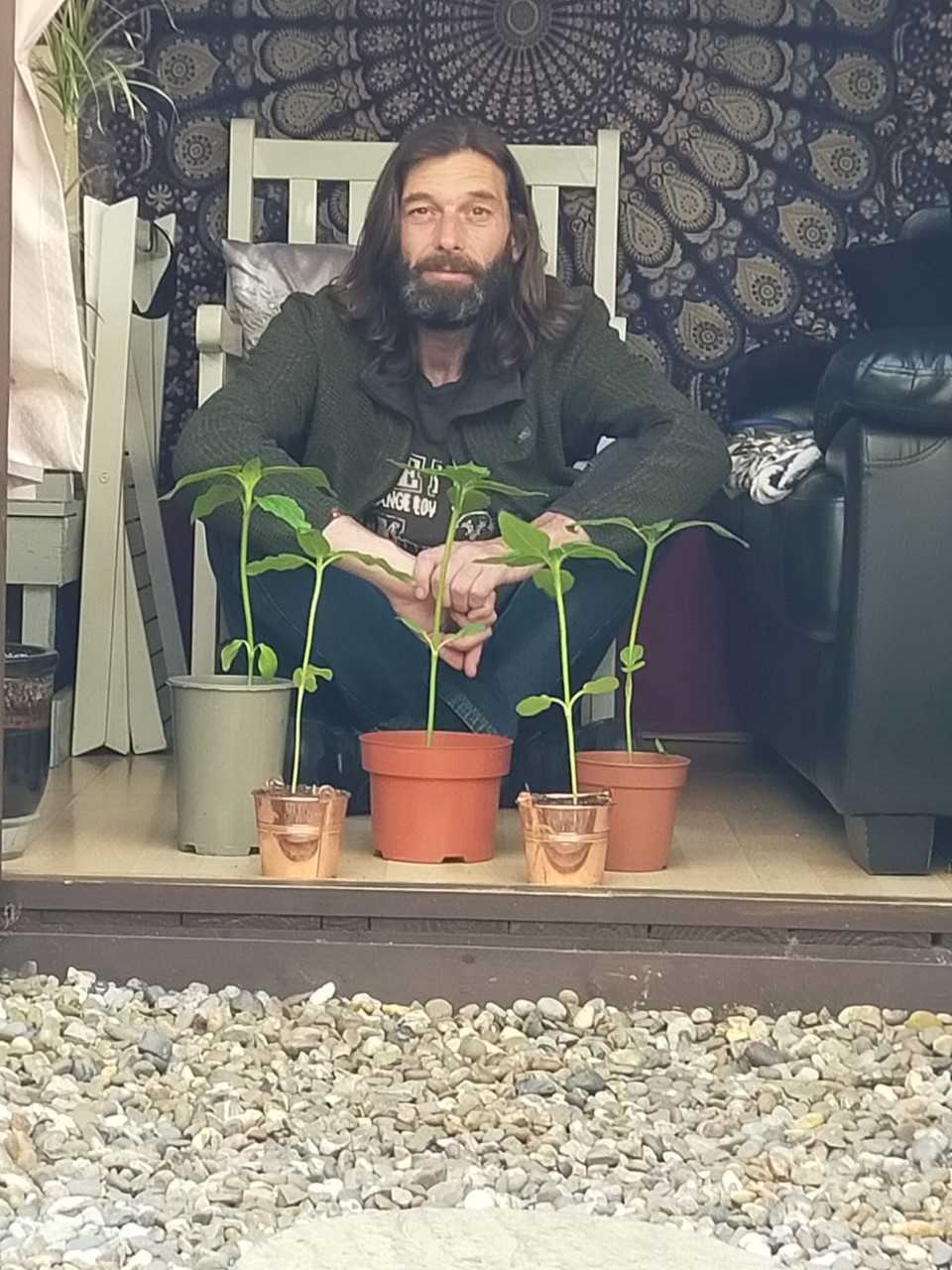 Geraint O - Sunflower selfie