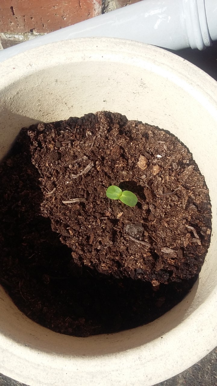 Margaret D - Very proud of myself lol