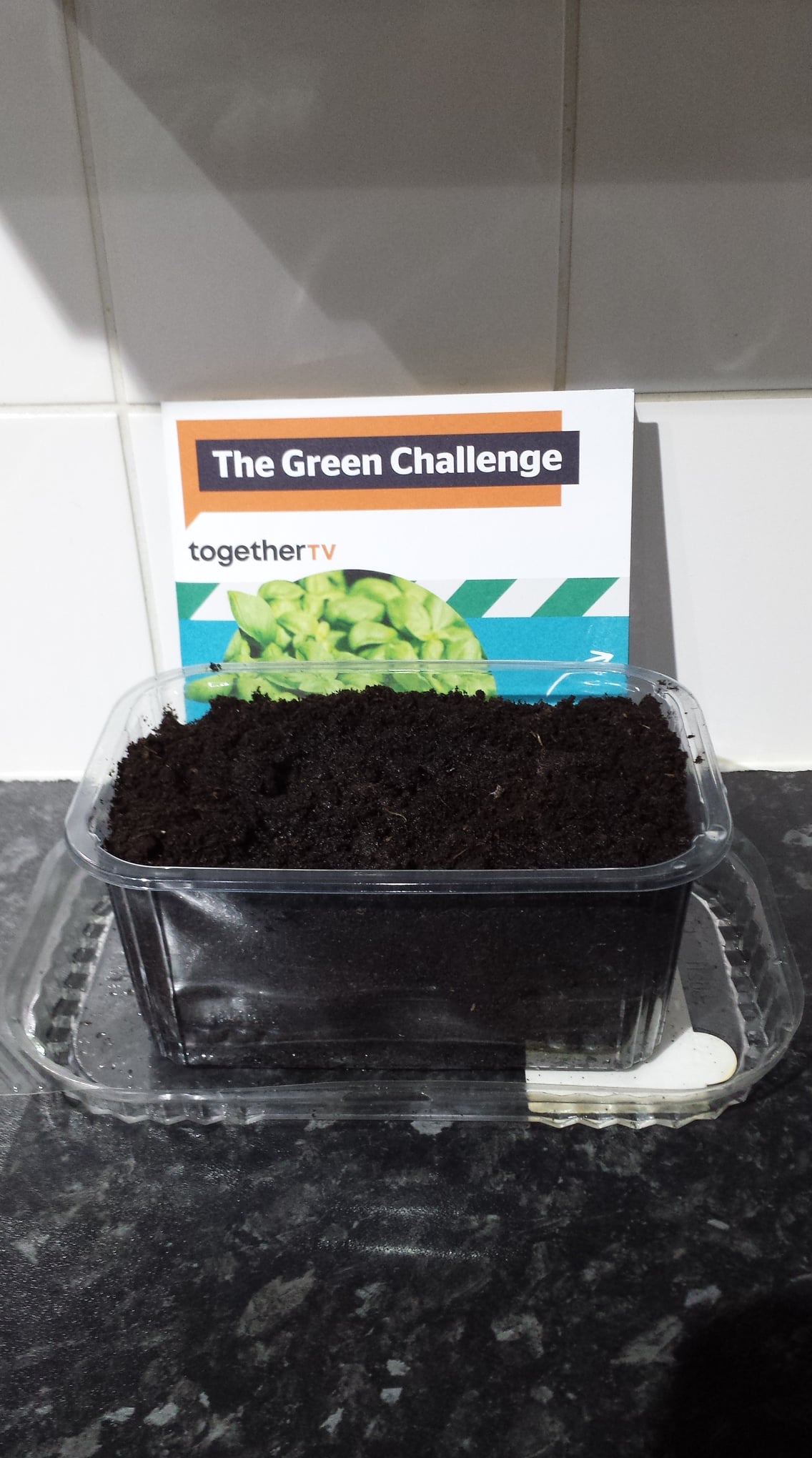 Maria W - Planted seeds and now wait