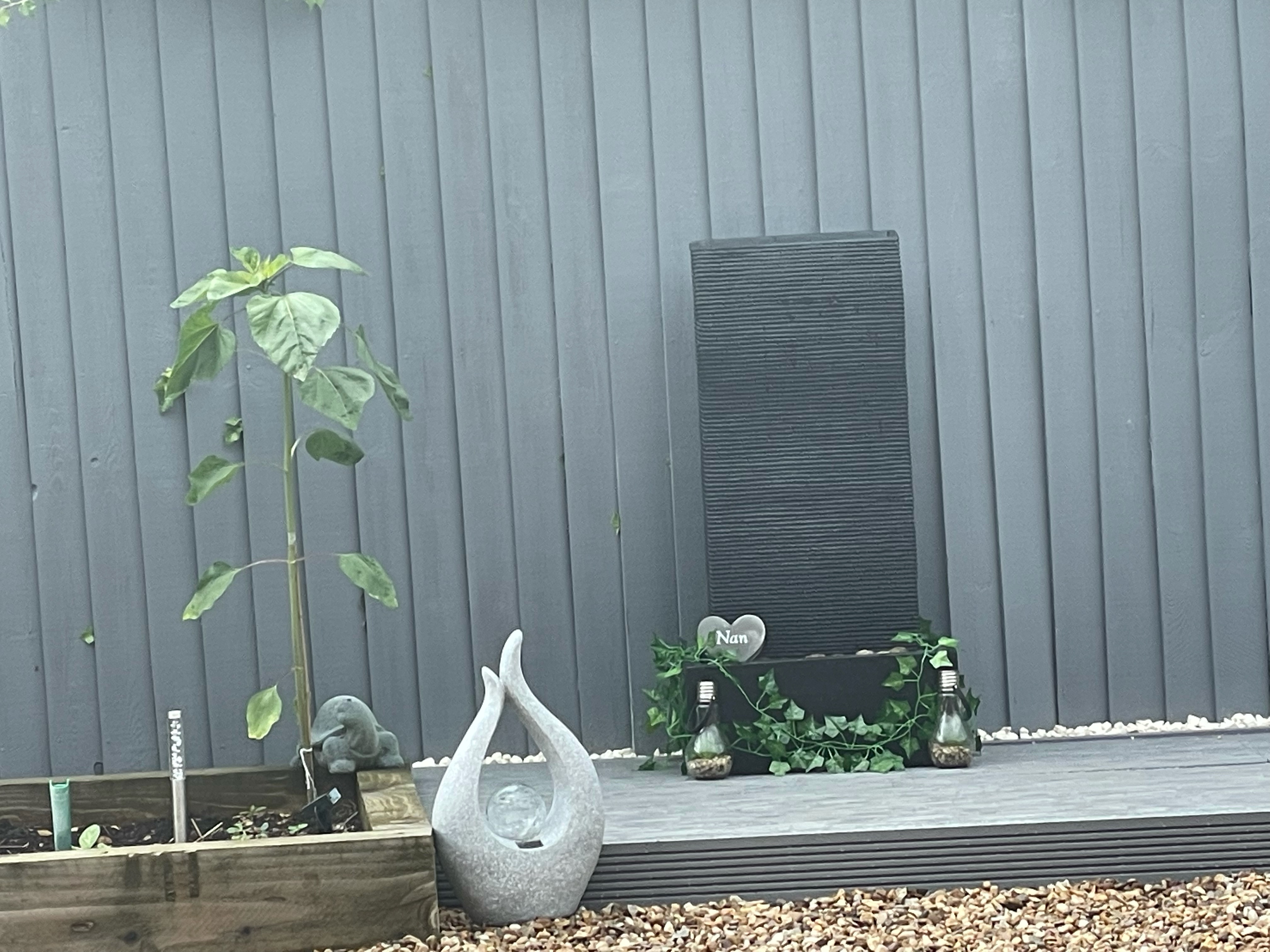 Geraint O - Sunflower selfie